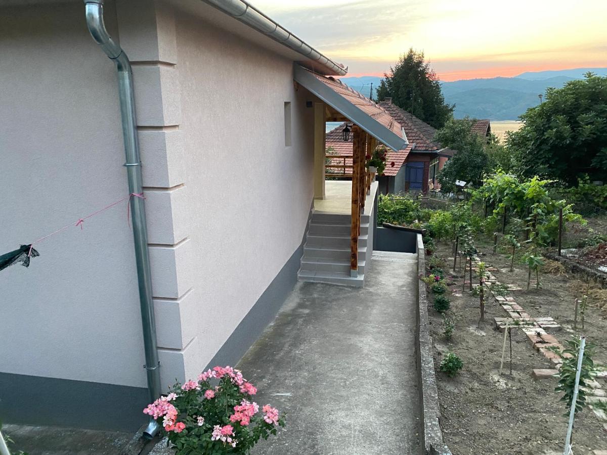 Smestaj Zeka Tekija Tekija  Exteriér fotografie