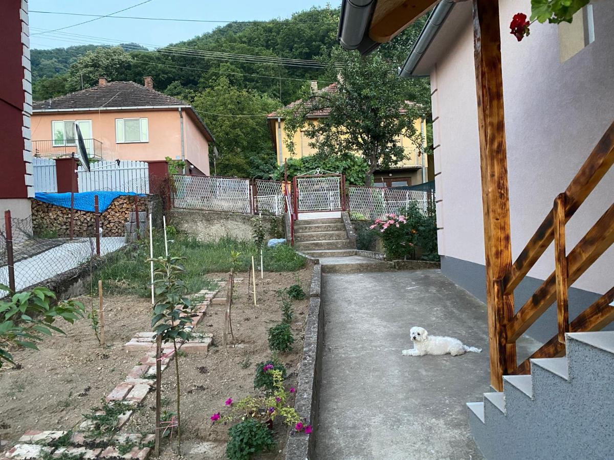 Smestaj Zeka Tekija Tekija  Exteriér fotografie